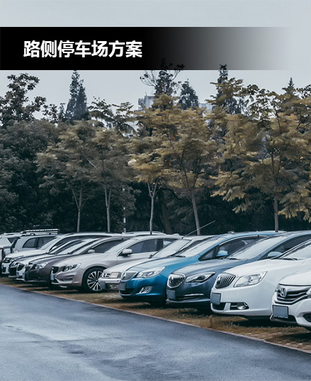 路側(cè)停車場解決方案